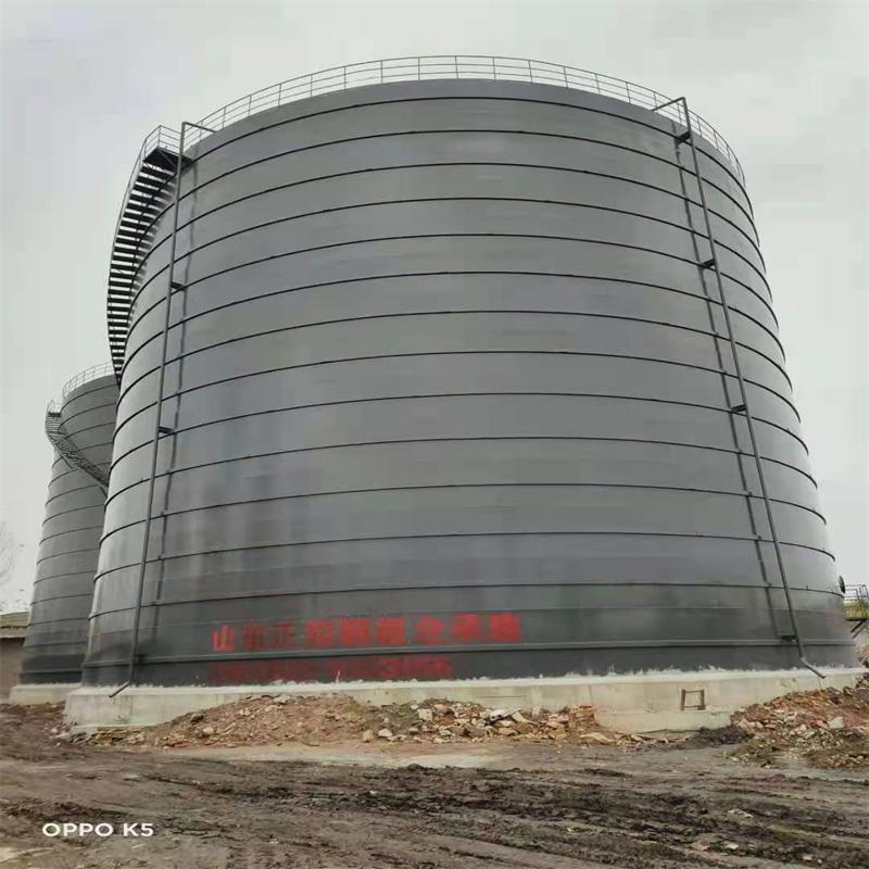 竹溪3万吨大型钢板库