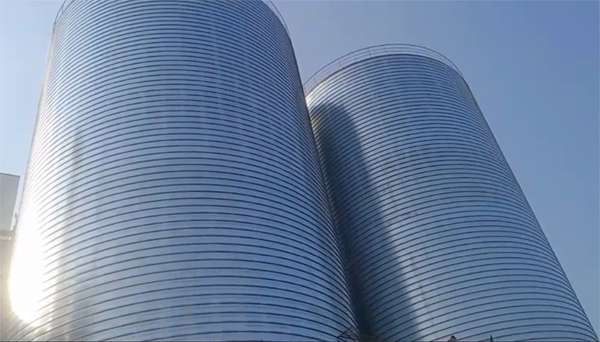 竹溪2座混凝土高架卷板仓